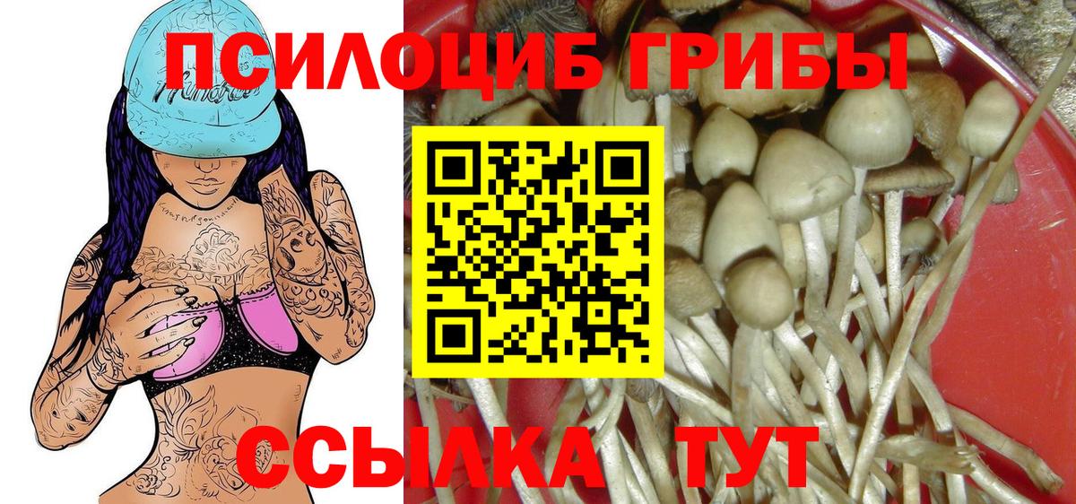 Псилоцибиновые грибы GOLDEN TEACHER  Вход с VPN  Псилоцибиновые грибы Magic Shrooms  Клин 