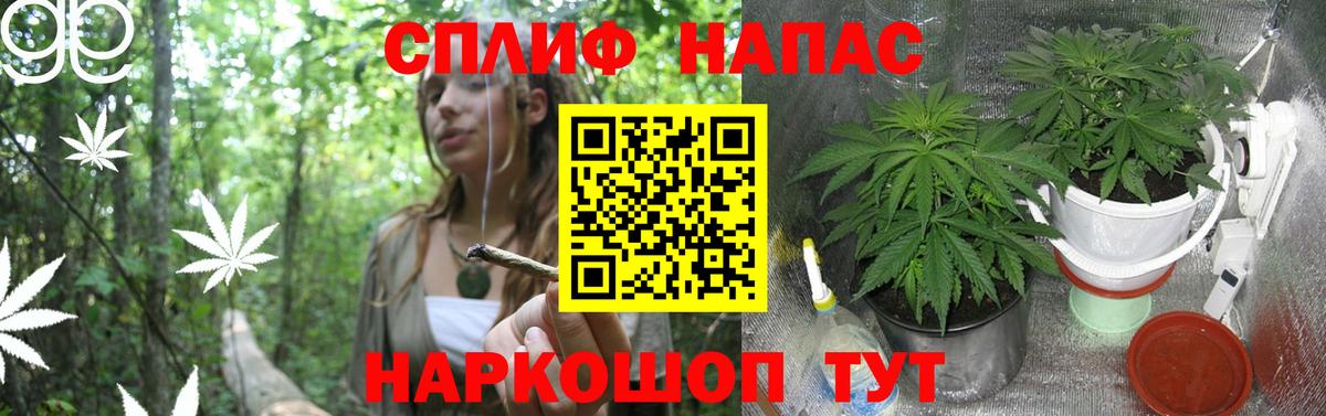Каннабис AK-47 Клин